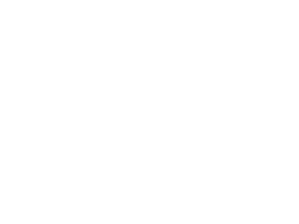 Logo of Rollin Flock